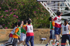 dsc00005d