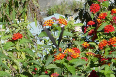 b8270046