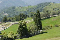b8270049